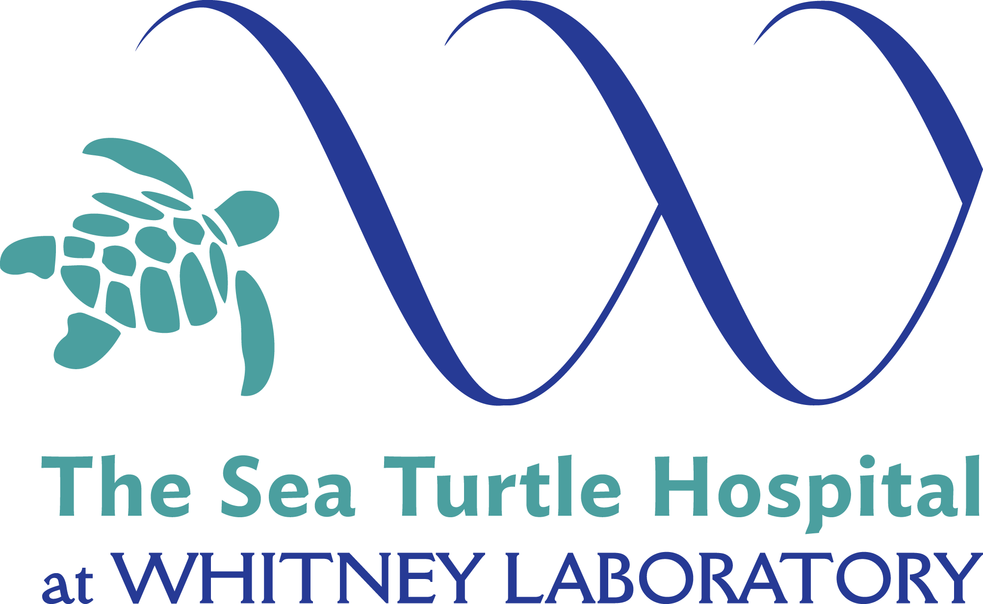 SeaTurtleHospital-Logo-Teal.png